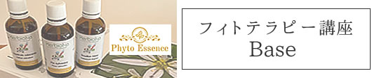 日本フィトセラピー協会認定講座｜ヴィーナースメディカルハーブラボ　東京お茶の水校