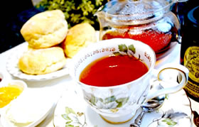 三浦絵里子のダージリン紅茶の旬と香りを楽しむ「テイスティング講座」｜ヴィーナース メディカルハーブラボ