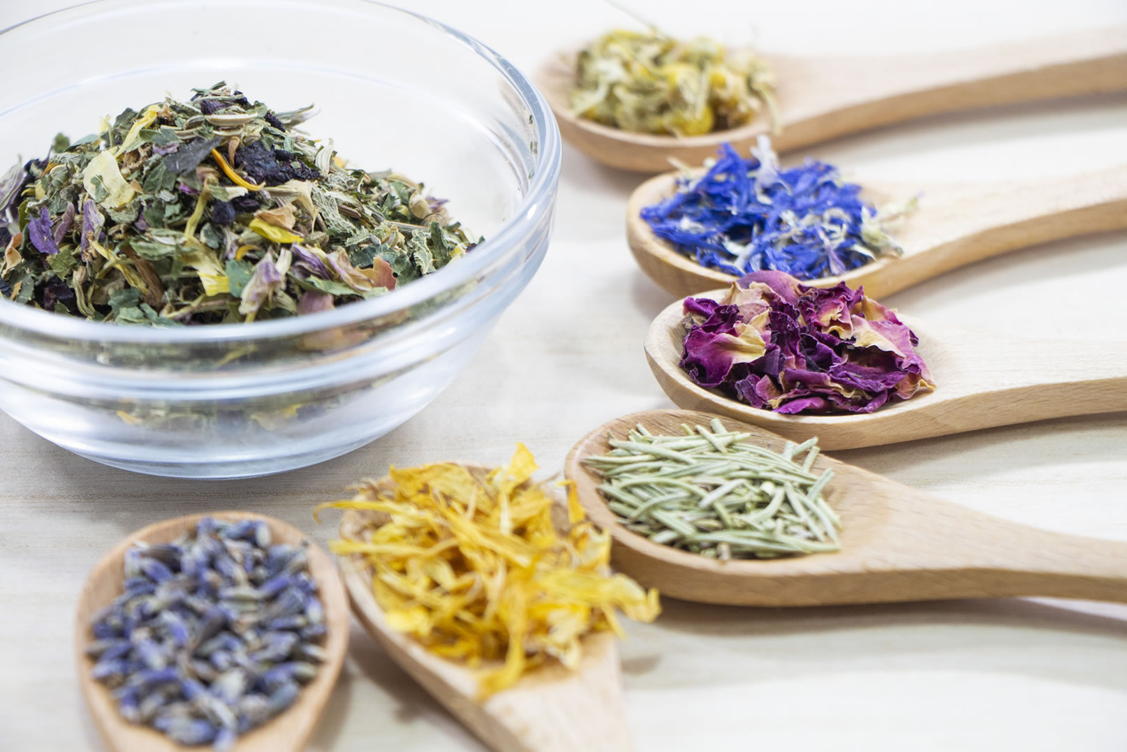 ハーブの風味と効能を知って頂くハーブの基本となる講座です｜ヴィーナース メディカルハーブラボ