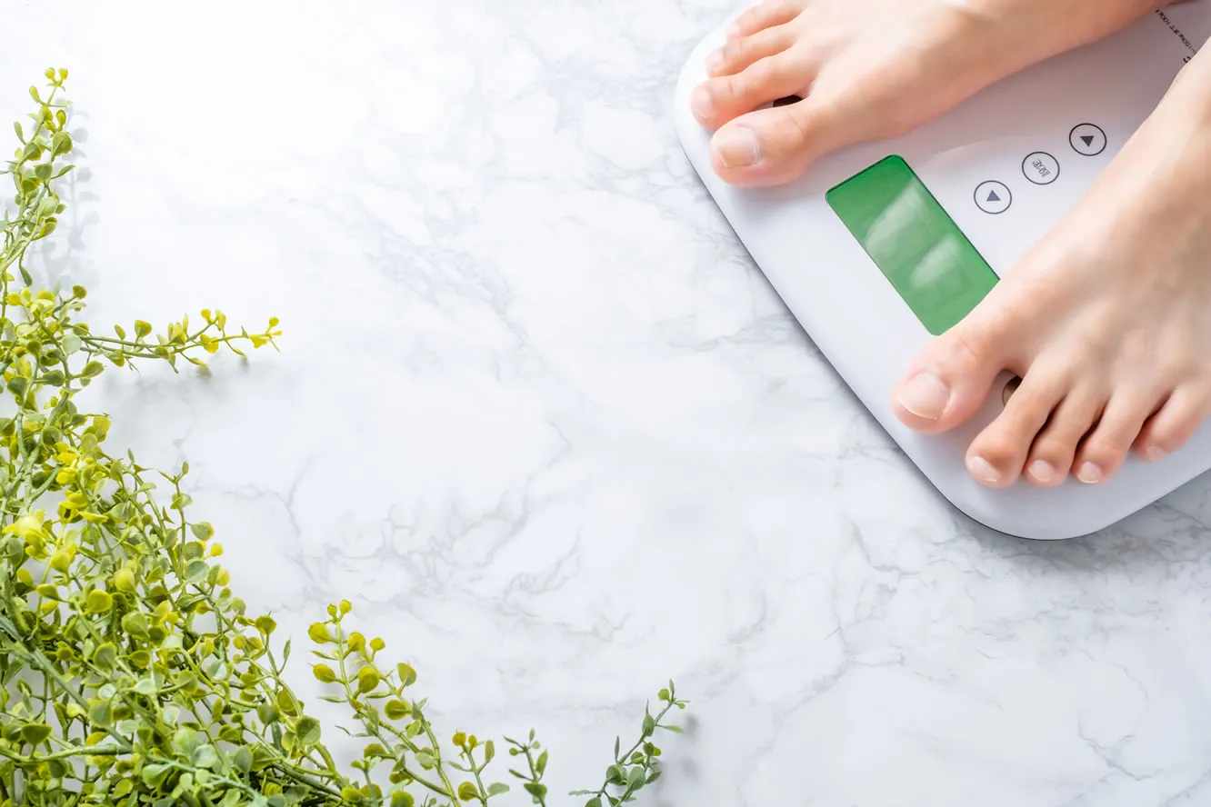 メディカルハーブ講座「ダイエット」回で使用した植物と体重計の写真｜ヴィーナース メディカルハーブLABO 東京秋葉原校