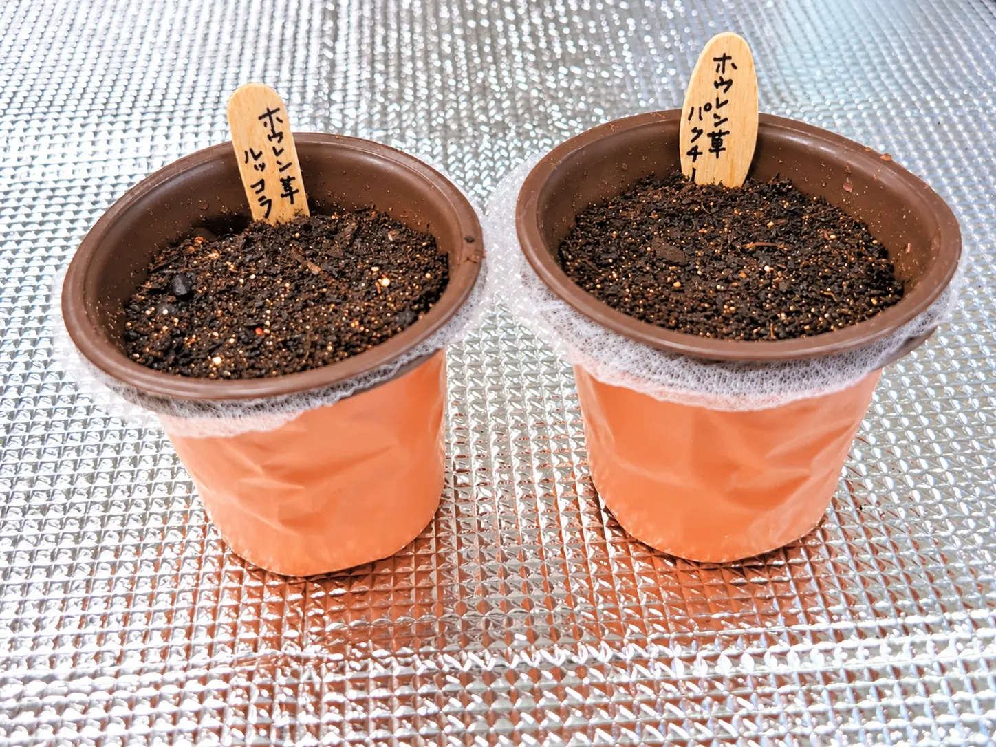 エコロジカルハーバリズム実践講座（園芸）水・木曜コース　講座の様子5