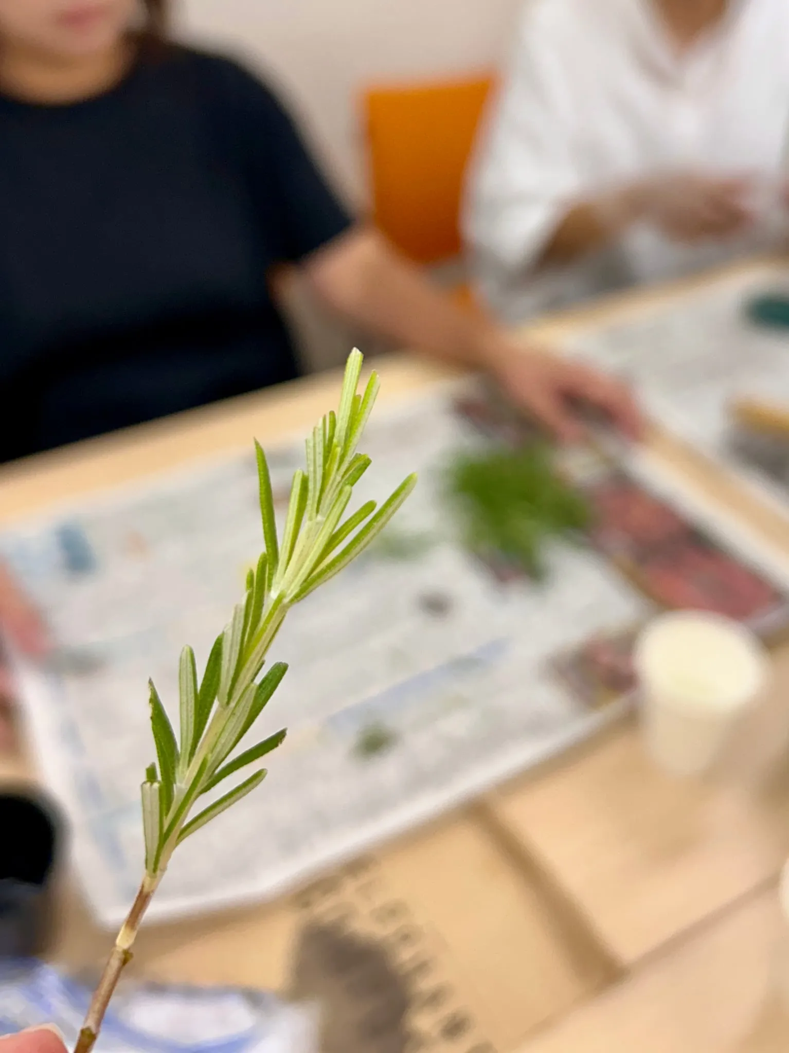 エコロジカルハーバリズム体験講座・堆肥の袋を開けて比較体験している様子③