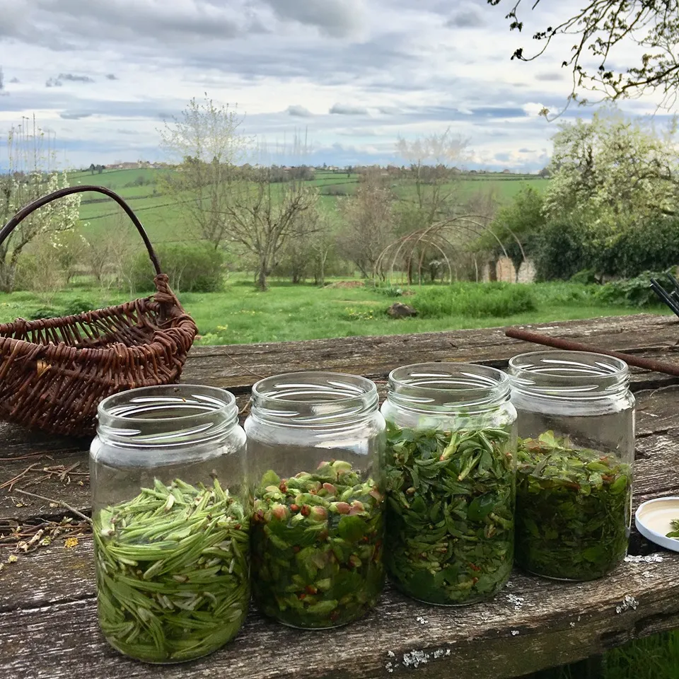 ジェモセラピー体験講座でジェモエッセンスを試飲する様子｜春川なお講師｜ヴィーナース メディカルハーブLABO 東京秋葉原