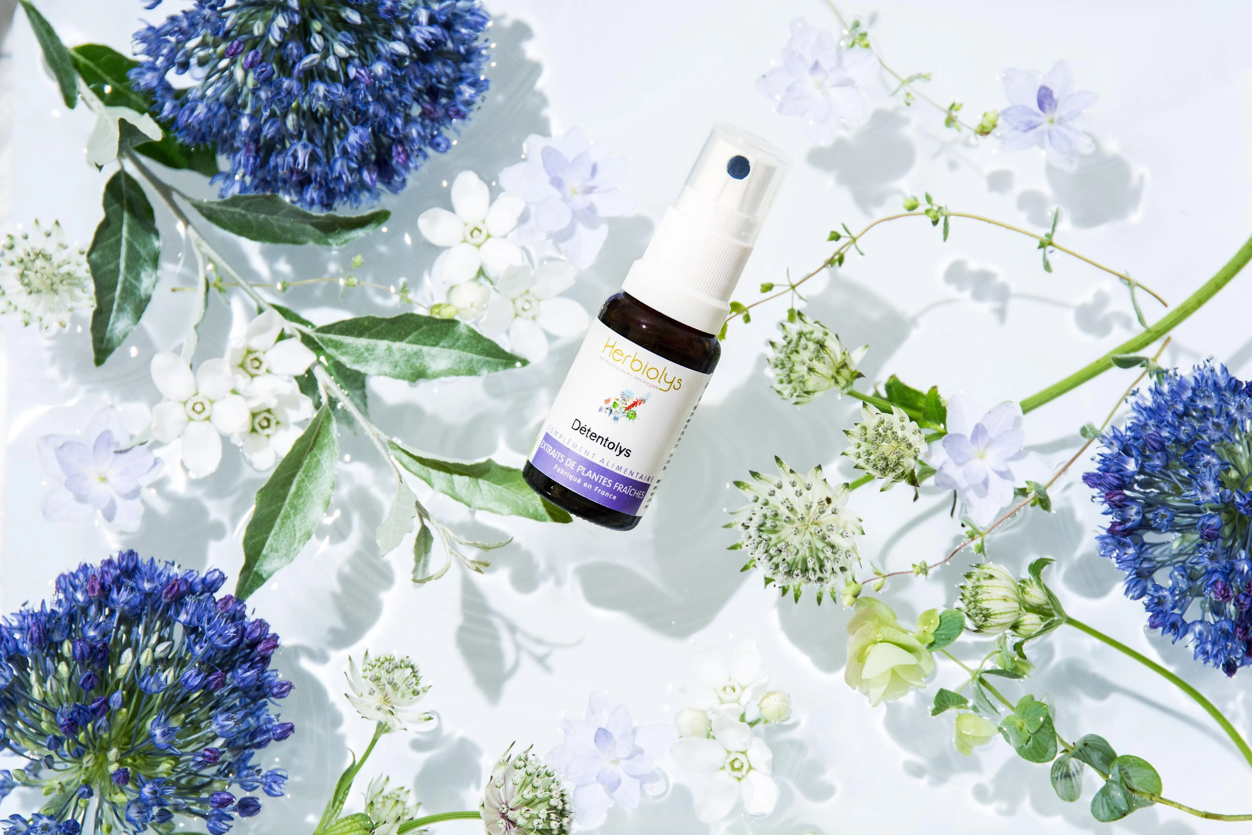 日本ジェモセラピーカレッジ（GAJ日本ジェモセラピー協会）｜フランスのジェモセラピー研究所と提携した日本唯一の植物療法専門スクール