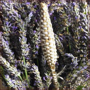 ラベンダーバンドルズ（ラベンダースティック）