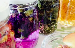 メディカルハーブ（薬用植物）の活用｜緑の薬箱として注目される植物療法・フィトテラピー