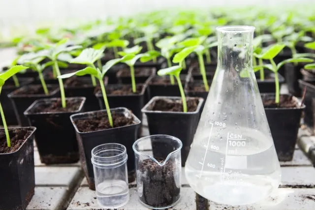 木村正典講師による有機栽培の座学講座の様子｜太陽の里