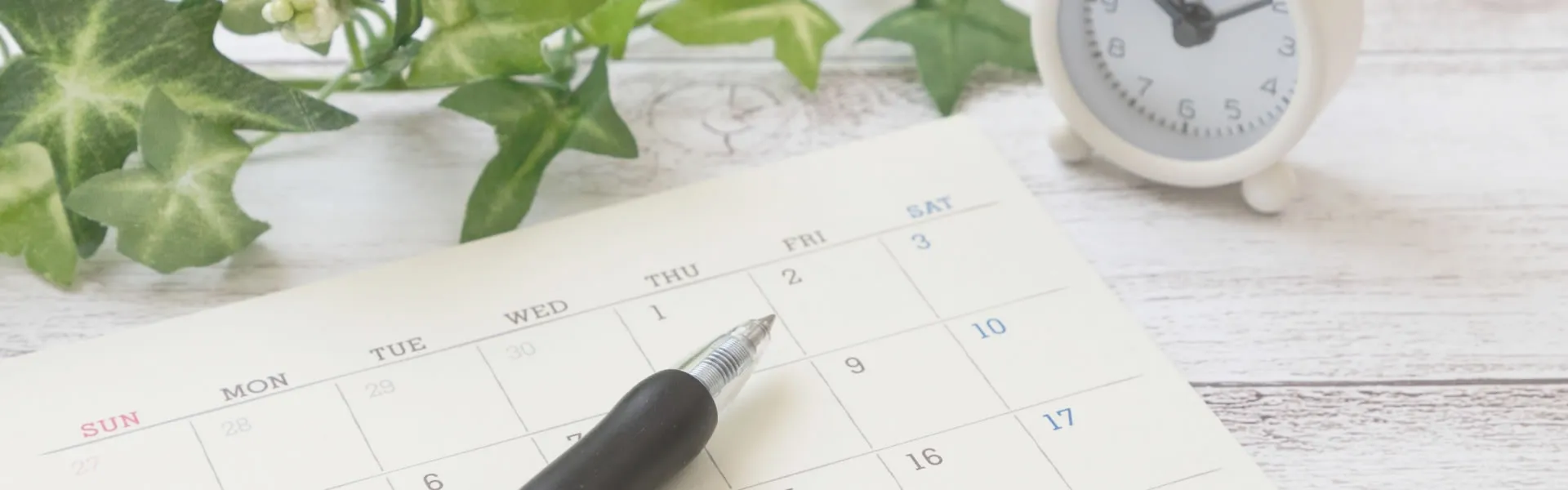 日本メディカルハーブ協会・試験対策講座（JAMHA）｜東京秋葉原校／千葉九十九里校／オンライン｜ヴィーナース メディカルハーブLABO