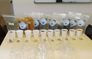 15種類のハーブカップが並ぶ講座の様子。参加者が実際にハーブティーを試飲しながら効能を学んでいる｜ヴィーナース メディカルハーブLABO 東京秋葉原校