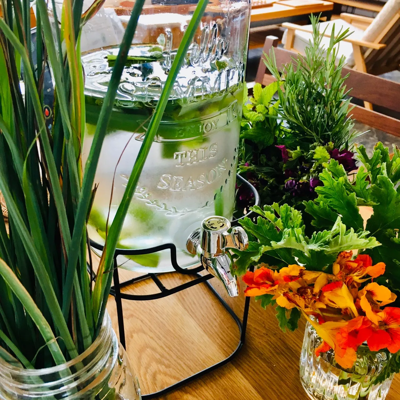 ハーバルライフ講座の様子｜ヴィーナース メディカルハーブLABO 春川なお講師